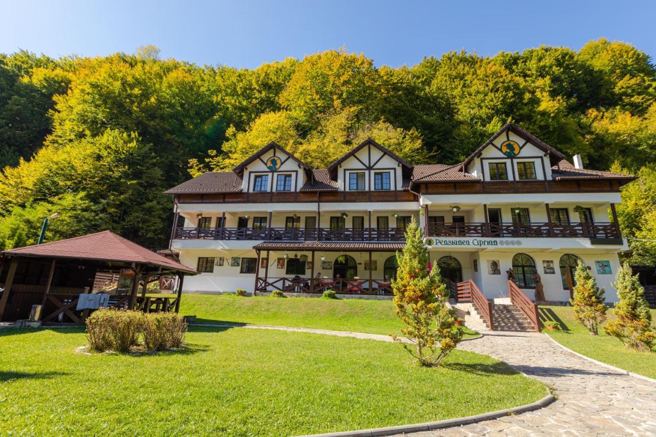 Pensiunea Ciprian Curtea de Argeş Exterior foto