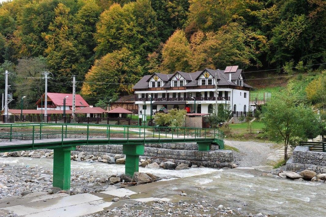 Pensiunea Ciprian Curtea de Argeş Exterior foto